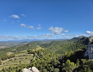 Les dentelles à Gigondas - Corinne - 5