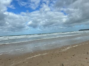 Baie de Wissant et paradis pour les oiseaux - Élisa - 2