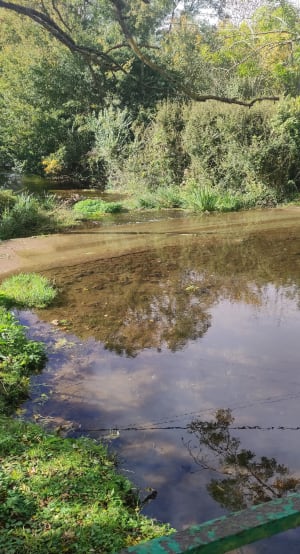 Gaudreville, Le sec Iton et Bois de la Haie - Jennifer - 6