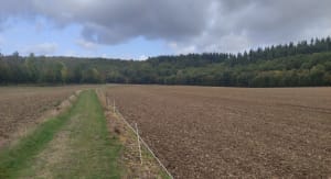 Gaudreville, Le sec Iton et Bois de la Haie - Jennifer - 7