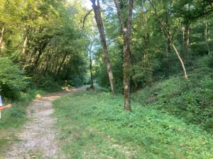 Sortie depuis Chambolle-Musigny - martial - 4