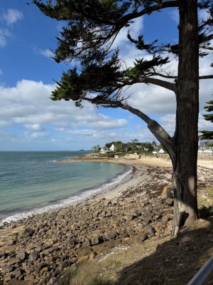 Arzon entrée du golfe du Morbihan - Eva - 4