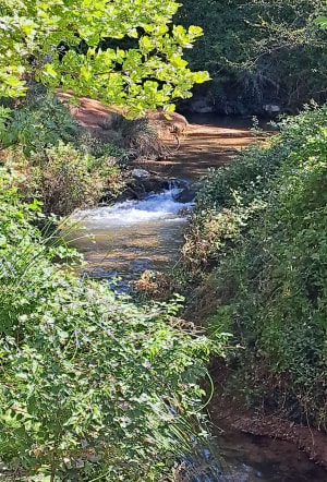 Tour à la Source de l'Infernet - Evelyne - 6