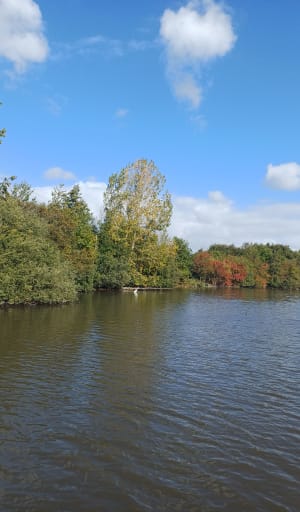 La promenade du Marais de Fretin, par le Bois des Enclos - FABIENNE - 5