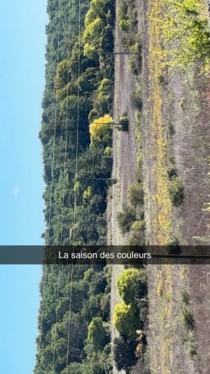Haut de Nîmes - Nath - 6