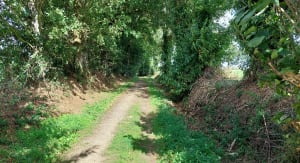 Circuit du pont Rozel - jean - 6