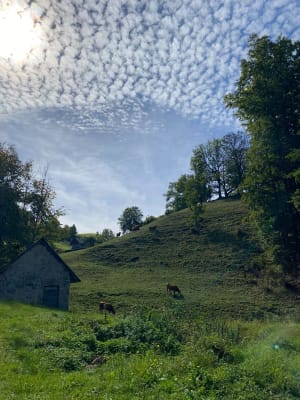 Sentier de Cozon, entre cascades et marmites à Saint-Pierre-d'Entremont - Nolwen - 10