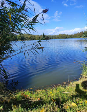 Parc des Bruyères à Fère-en-Tardenois - Elise - 6
