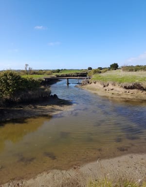 Ile d'Olonne - Muriel - 3