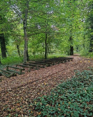 Bois de Saint-Hubert et balade détente autour de Fameck - Cindy - 4