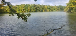 Impressionnant Lac du Der et partie de pêche - Sylvie - 3