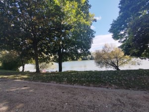 Entre les 2 ponts , pont du Pecq , pont de maison laffittes - Samy - 6