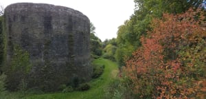 Visite de Dol-de-Bretagne - Mathieu - 2