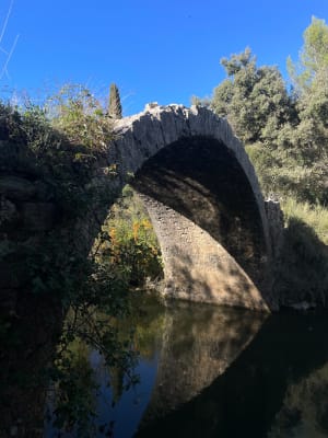 Tom - Tour de Vias, pont Romain, Notre-Dame-des-Champs, Les Matelles - Canelle - 8