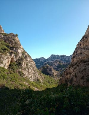 Wandelen in Marseille en een uitstapje naar de baai van Sormiou - Pauline - 14