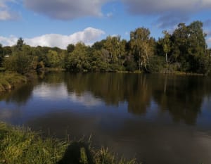 Chaptelat, le Theillol par Puy Lacaud - Christelle - 5