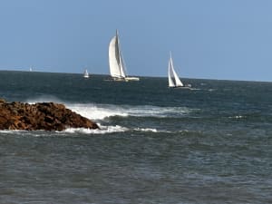 La Trinité sur mer et la pointe Ty Guard par le sentier cotier - Françoise - 4