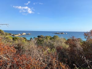 Plage de Tamaracciu - François  - 10