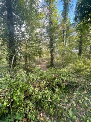 Boucle de Seine et forêt  depuis le Pecq - Akemi - 5