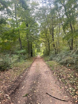 Boucle de Seine et forêt  depuis le Pecq - Akemi - 4