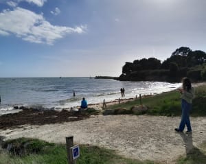 Parcours à Locmariaquer en bord de mer et rochers - VIRGINIE - 3