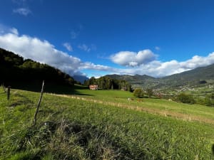 Forêt entre theys et les adrets: redescende par theys - Caroline - 8