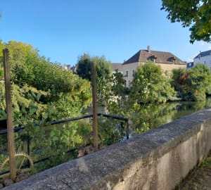 Balade à Châteauroux et au parc Daniel Bernardet - Nicolas - 2