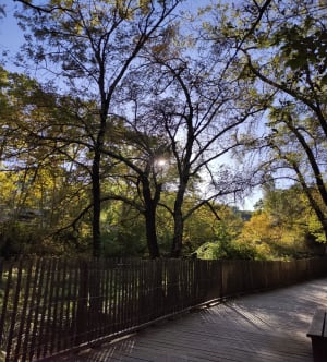 Saint-Clément-de-Rivière : dans les bois et à la source du Lez ! - roxane - 7