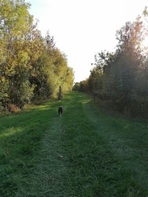 Marais du Langon - Sophie - 5