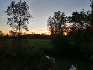 Marais du Langon - Sophie - 6