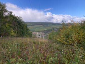 Randonnée sur la haute côte de Nuits-Saint-Georges - martial - 7