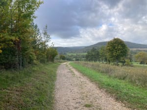 Randonnée sur la haute côte de Nuits-Saint-Georges - martial - 9