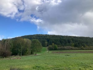 Randonnée sur la haute côte de Nuits-Saint-Georges - martial - 6