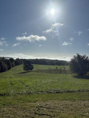 Boucle des châteaux à Coulaures - Sylv - 4