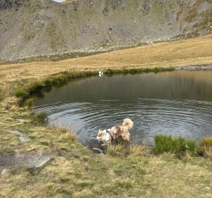 Lac des Allamands - Les Belleville - 2