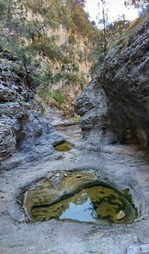 Luberon, lus van molens en kloven van Véroncle - Delphine - 3