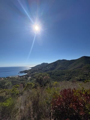 Miramar par le circuit de l'Esquillon et vue sur mer - Miramar - 4