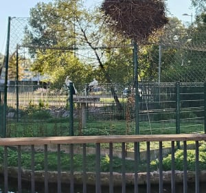 Promenade à Molsheim - Thibault - 2