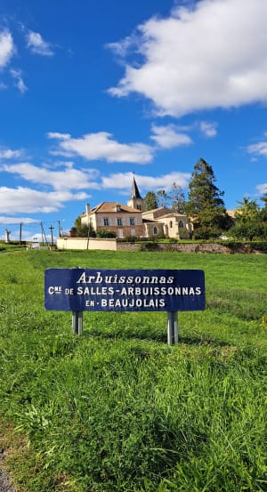 Salles Arbuissonnas - Nathalie - 5