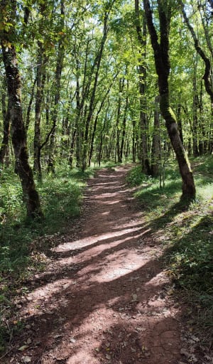 Dunes et Sentier de Maraval - Sylvain - 6