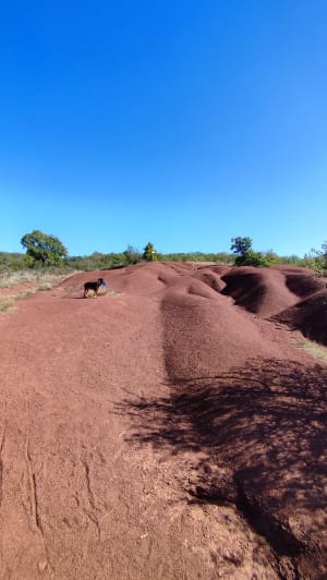 Dunes et Sentier de Maraval - Sylvain - 9