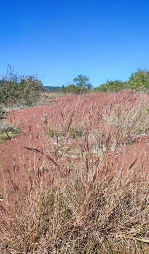 Dunes et Sentier de Maraval - Sylvain - 7