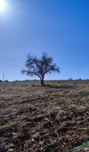 Dunes et Sentier de Maraval - Sylvain - 10