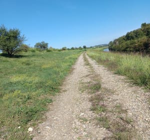 Balade vers Vallabrègues - Barbentane - 2