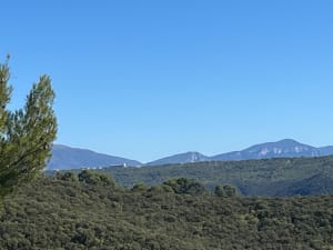 Balade au relais par les Hauts du Vésie et par la chapelle de St-Pancrace - Denis - 6