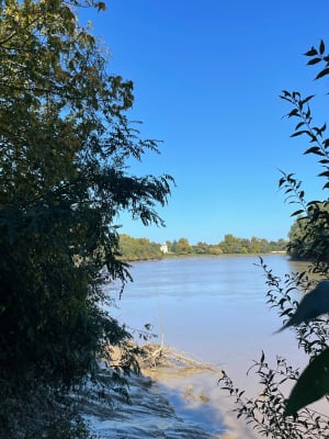 Flâner au fil de la Dordogne et se perdre dans les vignes - Karine - 4