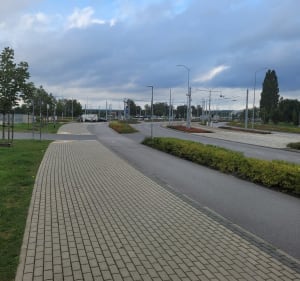Arkonka z Krzekowa - Tomek - 2