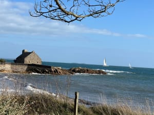 La Trinité sur mer et la pointe Ty Guard par le sentier cotier - Françoise - 5