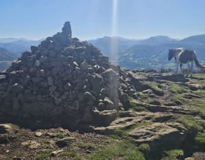 Ascension au Mont Ursuya depuis Hasparren - Jérôme - 12