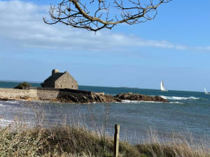 La Trinité sur mer et la pointe Ty Guard par le sentier cotier - Françoise - 3